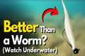 5 Shaky Head Lure ALTERNATIVES That