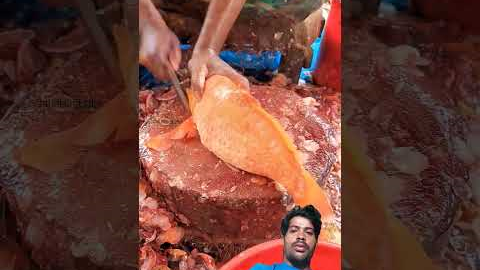 🥰Really amazing plastic pipe fishing trap #fishingtrap #fishvideo #shorts