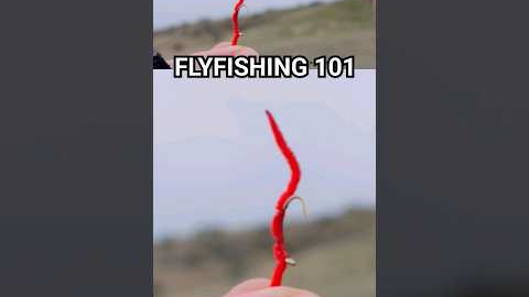 What Is a Fishing Fly? 🤔 #fishing #flyfishing #humor