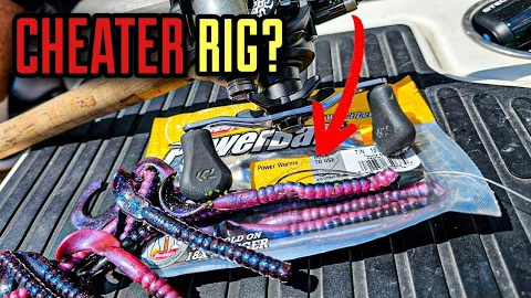 This Rig is a CHEAT CODE for Bass NOW!