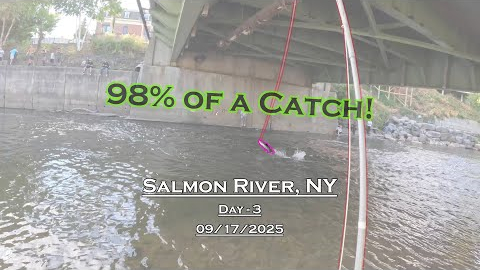 Fly Fishing For Salmon - Day 3 - Salmon River, NY (09/17/2025) - 98% of a Catch!