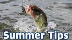How to catch bass in the summer - In-depth fishing advice and lure choices