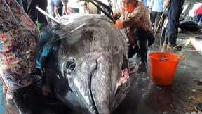 From catching a 500kg bluefin tuna to butchering and preparing dishes