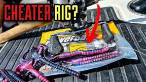 This Rig is a CHEAT CODE for Bass NOW!