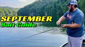 Top 5 Bass Fishing Techniques for September (Catch More Bass Now)