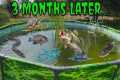 Three Months Ago I Started A Pool
