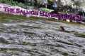 Fly Fishing For Salmon - Day 1 -
