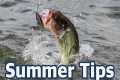 How to catch bass in the summer -