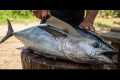 How to Cut Fish Perfectly Every Time