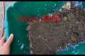 How to Start a Worm Farm - Worm Farm