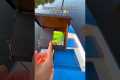 Underwater fishing camera fishing