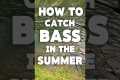 How to Catch More Bass in Summer