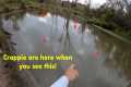 When you see THIS on top of the water,