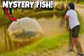Mystery Fish Broke My Net… So We Set