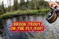 BROOK TROUT (on the fly)! (S2:E34)! 