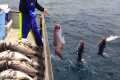 Amazing Automatic Longline Fishing