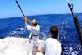 FOUR HOURS Offshore Fishing WAHOO,