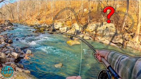 First Time Using This New Fly Fishing Technique... Does It Help Catch More Trout?