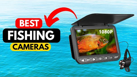 Top 5 Best Underwater Fishing Cameras 2025 | See Fish Like Never Before!
