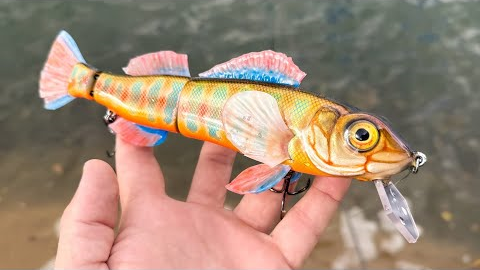 Making a Cherokee Darter Lure | World Record Size