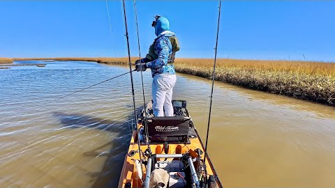 Fishing a popular inshore bayou during low tide... too easy!!!