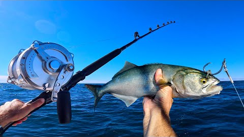 24 Hours Fishing for Giant Fish With BIG BAIT! Giant Tuna fishing!