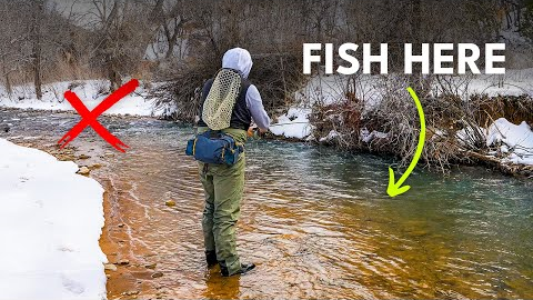 Why Winter Trout Are Easier to Find Than You Think | Episode 4