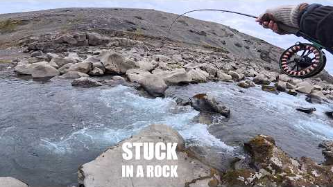 I Risked It All for This Fish