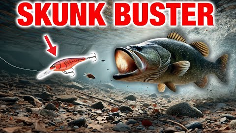 STOP Getting Skunked (How to Use My 