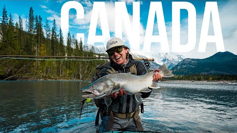 This Glacier River Is FULL of Giant Bull Trout (Fly Fishing Canada)
