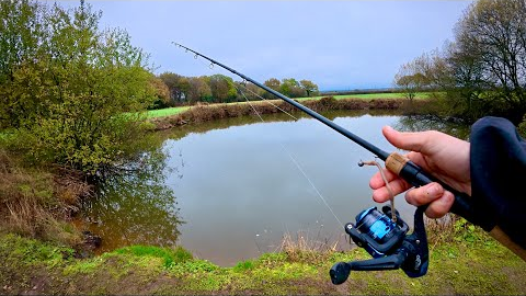 Jigging Worms For Perch On The Canal And Pond!
