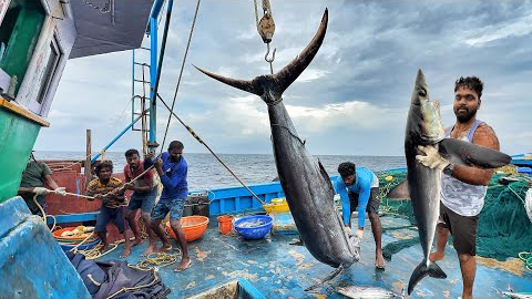 Ohhh! The First Day We Stayed In The Deep Sea & Caught A Lot Of Tuna Fishes | Day-01 | S07-EP01