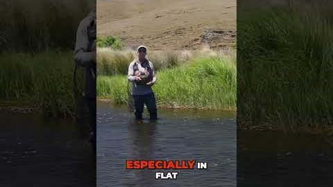 Dry Fly Fishing: Mistakes and Fixes!