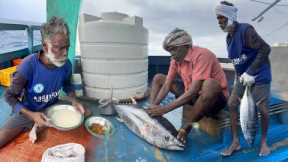 WOW! The First Day We Stayed In The Deep Sea & Cooking a Giant Tuna! | Day-01 | S03-EP01