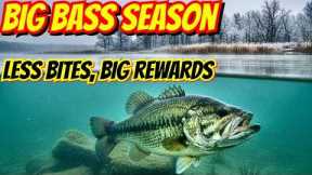 Not Getting Bites? 3 Fixes That Work in Cold Water