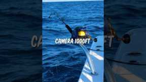 I Fished With A CAMERA 1000 Feet Deep… #fishing #shorts