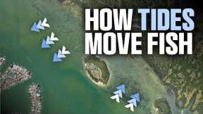How Tides Move Fish (And How to Catch Them!)