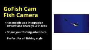 Don't Buy GoFish Cam Fish Camera UNTIL YOU SEE THIS FIRST!
