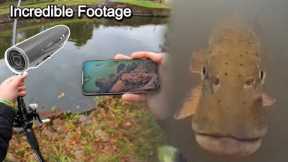 I Didn’t Expect What This Camera Recorded Underwater…Canfish Fishing Cam X