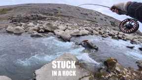 I Risked It All for This Fish