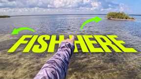 Fishing a New Spot? Here’s EXACTLY Where to Start!