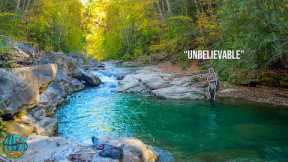 My Craziest Brown Trout Catch EVER! (Fly Fishing for BIG Trout)