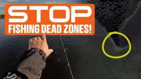 Shoreline Fishing EXPOSED: How to Find the Best Spots!