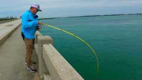 This Never Happens! | Florida Bridge Fishing Gets Wild