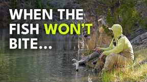 What to Do When the Fishing Sucks | Ep. 152