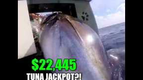 $22,445 Tuna Jackpotl! Captain Britton Lands 3 Giants in One Epic Trip!