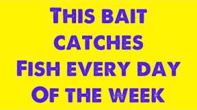 This bait catches fish every day of the week, excels in winter