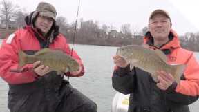 T-Turn Live Bait Rig for Catching Smallmouth Bass (Live Minnows)