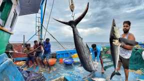 Ohhh! The First Day We Stayed In The Deep Sea & Caught A Lot Of Tuna Fishes | Day-01 | S07-EP01