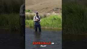 Dry Fly Fishing: Mistakes and Fixes!